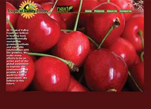 Tropicalvalleyfoods website